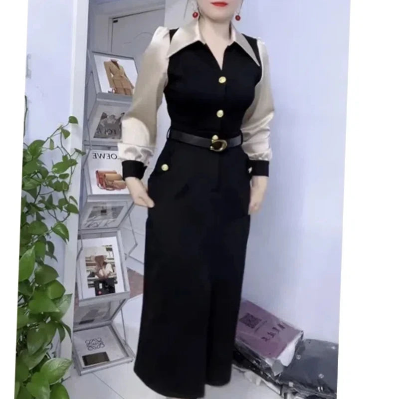 Spring Autumn New Fashion POLO Collar Long Sleeve Patchwork Women's Clothing Color Blocking Button Temperament Thin Slim Dresses